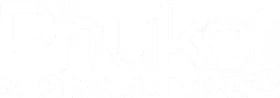 phuket_seo_summit_light